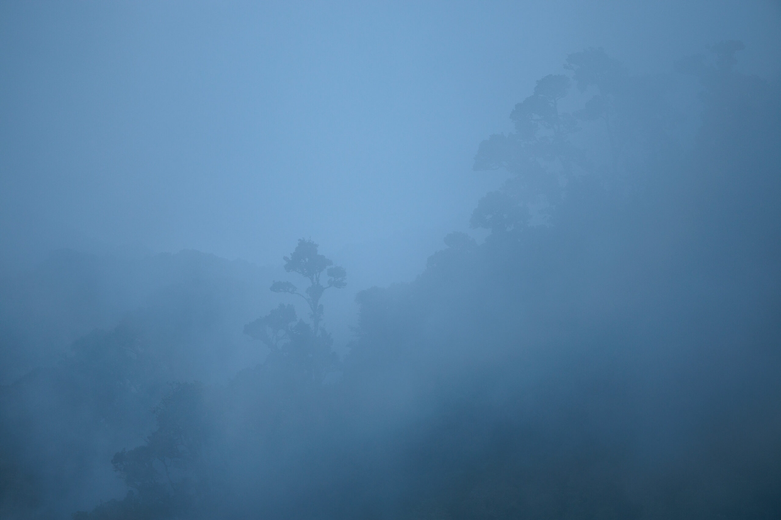 _D2A4322